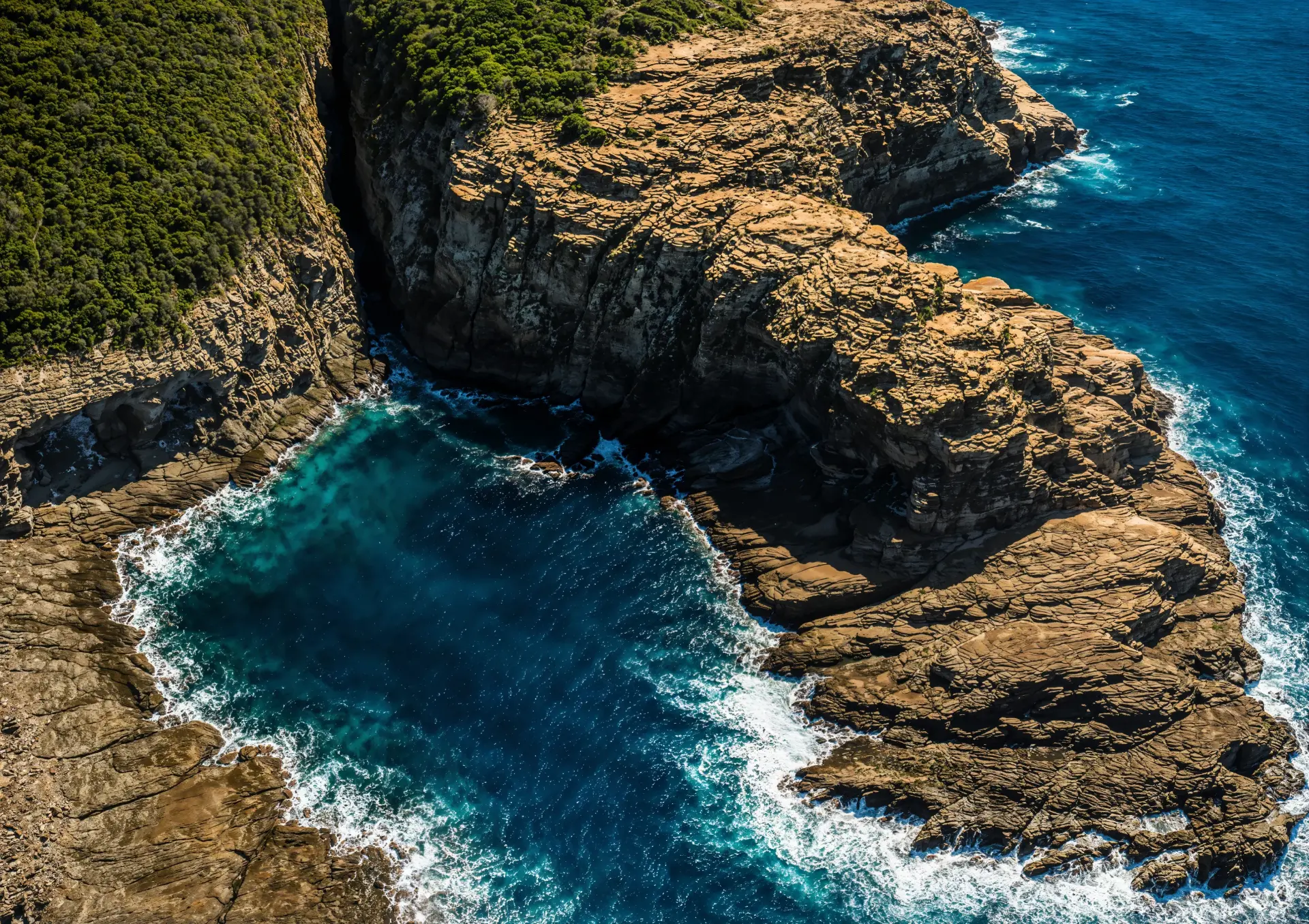 Shark Hole