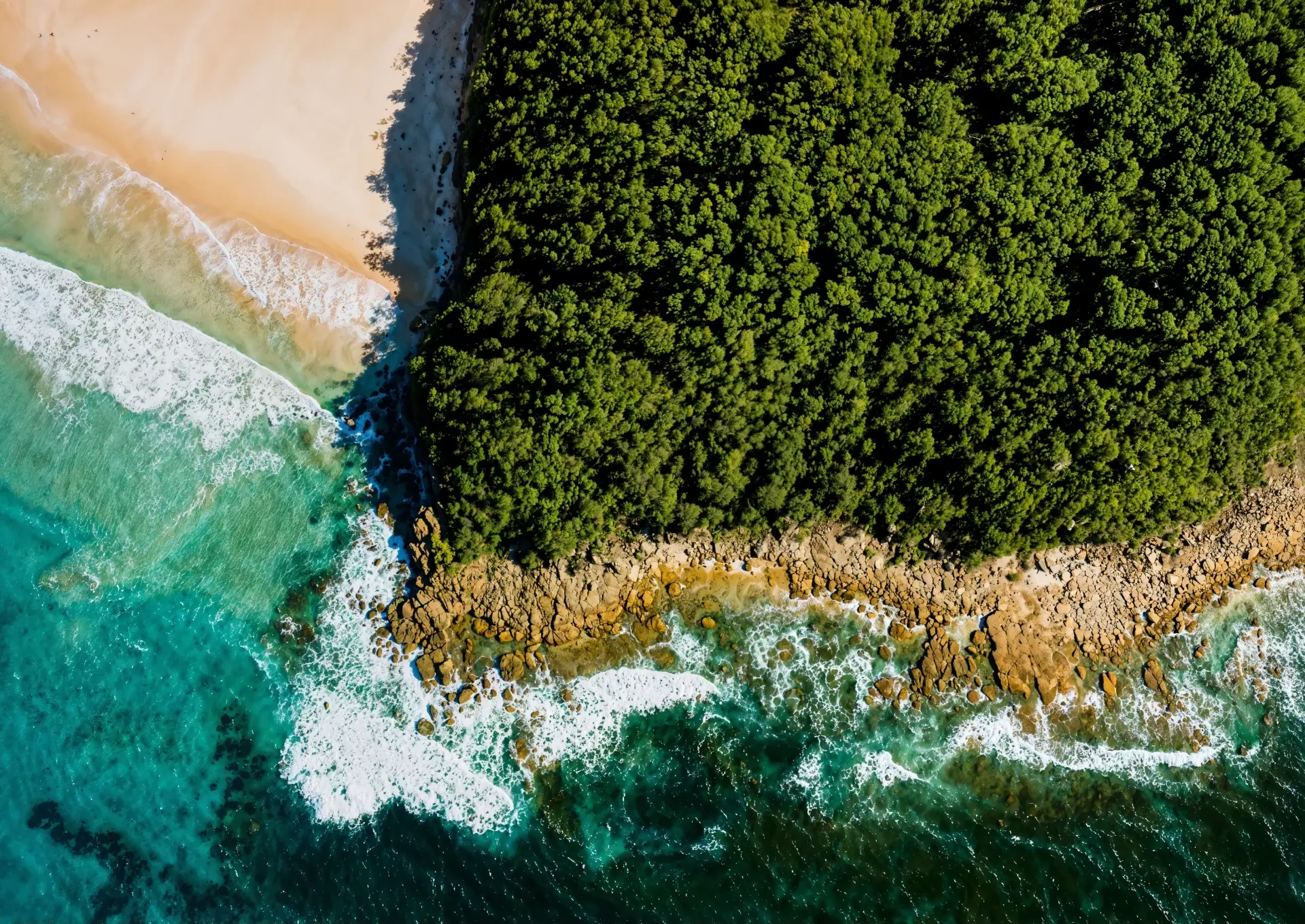 Narrawallee Headland
